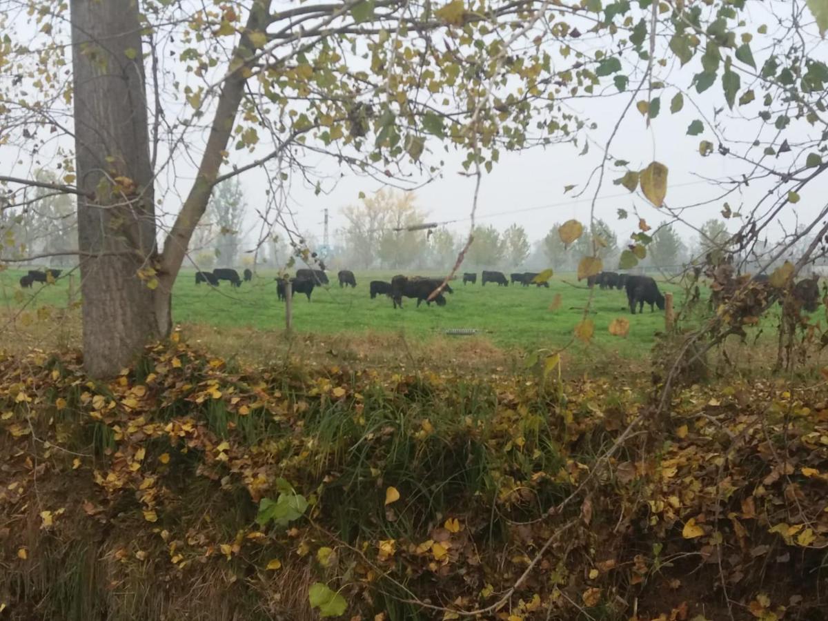 לודי Agriturismo Cascina Pezzolo מראה חיצוני תמונה