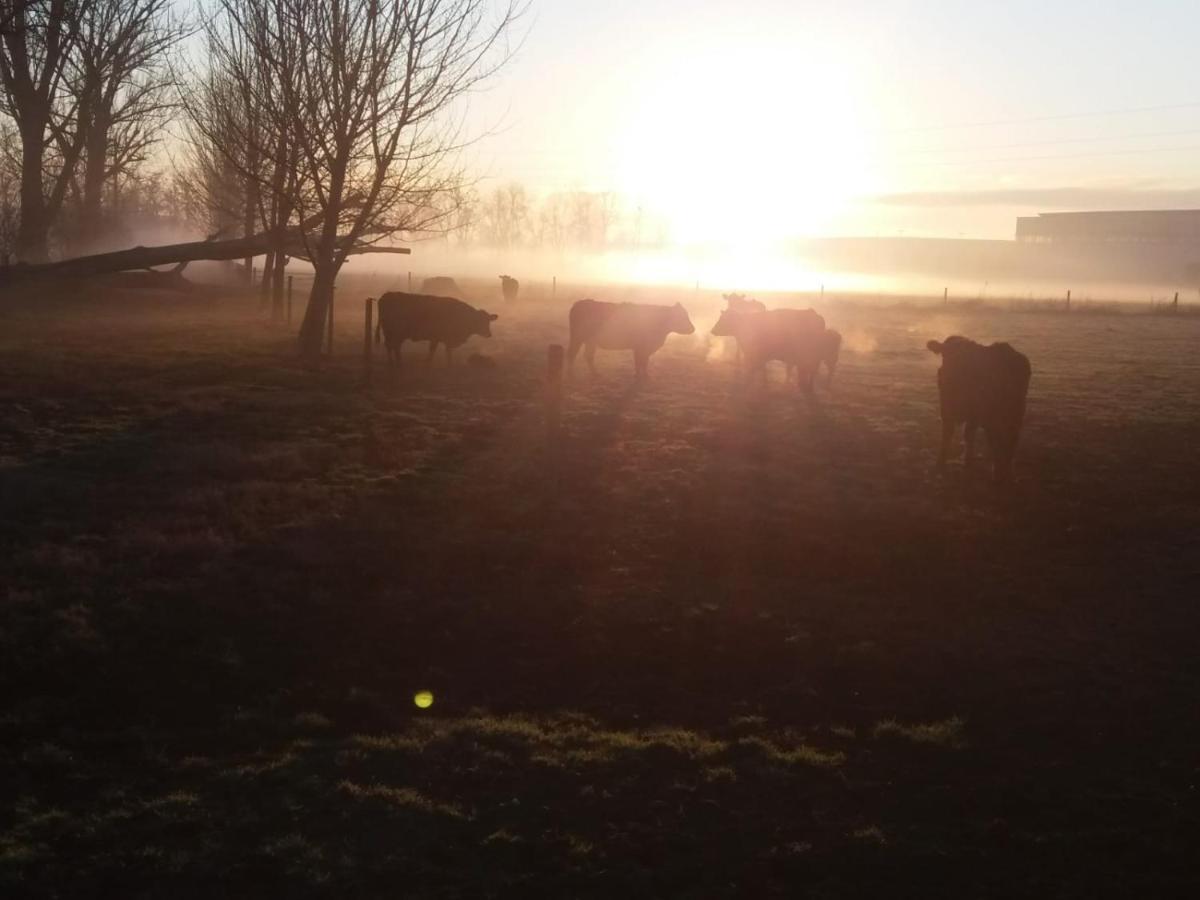 לודי Agriturismo Cascina Pezzolo מראה חיצוני תמונה