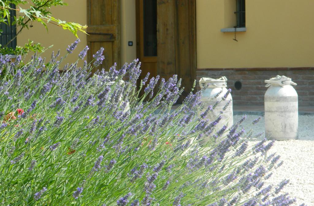 לודי Agriturismo Cascina Pezzolo מראה חיצוני תמונה